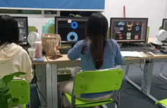 (PPT母版应用、调用excel表格、图表和动画应用